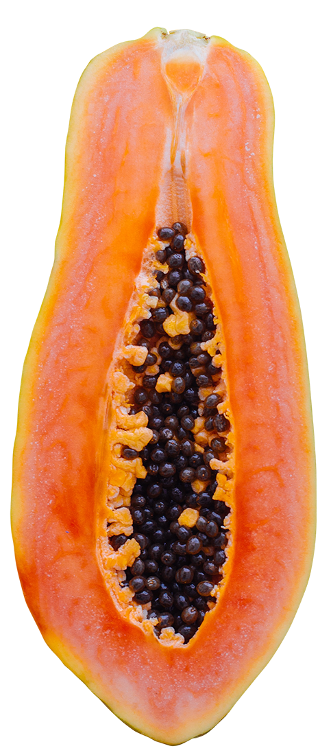 sliced papaya, sliced papaya png, sliced papaya png image, sliced papaya transparent png image, sliced papaya png full hd images download